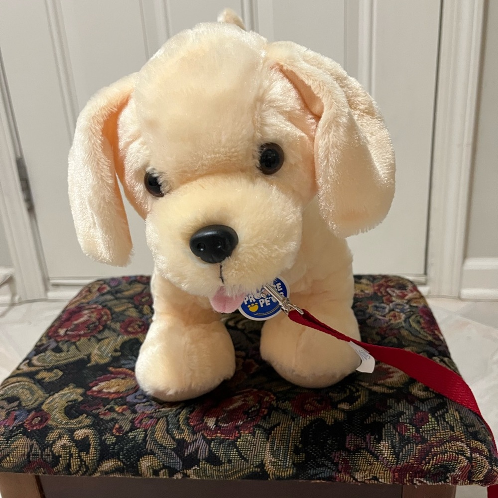 Build-a-bear plush golden retriever Promise pet.